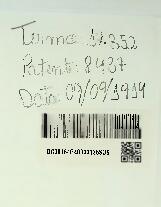 UMA NOVA CHAPA DIFUSORA DENOMINADA A LUMINOSA E SUA APPLICAÇÃO A TABOLETAS LUMINOSAS