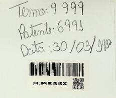 UM COMBUSTOR APERFEIÇOADO PARA COMBUSTÍVEIS GAZOSOS, OU LÍQUIDOS, OU PARA COMBUSTÍVEIS SÓLIDOS CO...