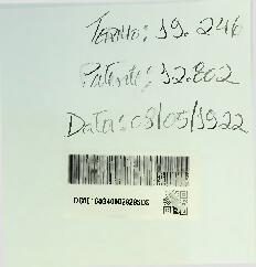 UM NOVO TYPO DE PAPELÃO