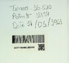 UM NOVO TYPO DE GRAMPO PARA FRISAR O CABELLO