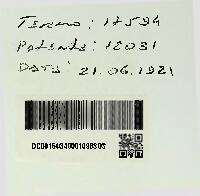 Open original Digital object