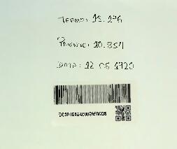 UM PROCESSO PARA FABRICAR ARTEFACTOS DE POLPA DE MADEIRA OU DE PAPEL E APPARELHO PARA ESSE FIM