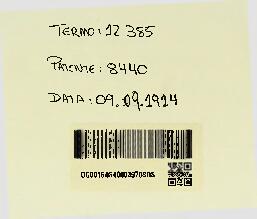 UM APPARELHO FLUTUANTE DENOMINADO SYSTEMA TANGARY