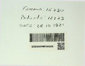 UMA MACHINA VOADORA DE ALTA VELOCIDADE DO TYPO DE BIPLANO