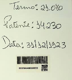 APERFEIÇOAMENTOS EM MECANISMOS AUTOMATICOS, RENOVADORES DA TRAMA EM TEARES