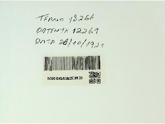 Open original Digital object
