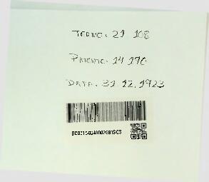 Open original Document numérique