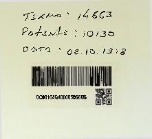 UM NOVO TYPO DE COURO ORNAMENTADO E METHODO PARA O PRODUZIR