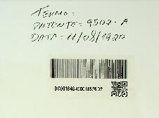 UM PREPARADO DENOMINADO MACIAL DESTINADO A TORNAR MACIOS E CONSISTENTES OS DIOS DE LÃ SEDA ALGODA...