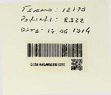 Open original Document numérique