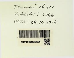 Open original Document numérique