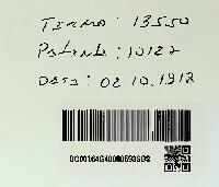 UM NOVO PROCESSO PARA TINGIR COUROS