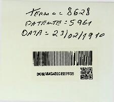 UMA PREGADEIRA APERFEIÇOADA PARA GRAMPOS DE CABELLO