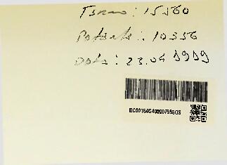 Open original Document numérique